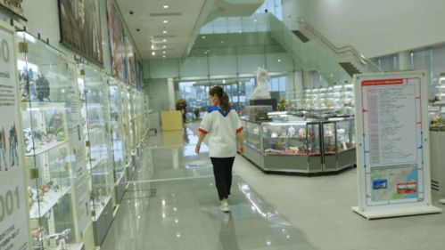 參觀萬代高達(dá)工廠 裝甲核心6開發(fā)者擔(dān)任翻譯的獨特體驗